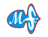 CV MultiSen